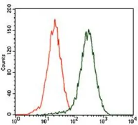 Anti-NG2 antibody [7G4E5] used in Flow cytometry (FCM). GTX60751