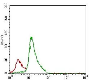 Anti-CD7 antibody [4D4F8] used in Flow cytometry (FCM). GTX60756