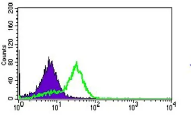 Anti-MRPL42 antibody [3H6H2] used in Flow cytometry (FCM). GTX60760