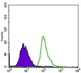 Anti-53BP1 antibody [6B3E10] used in Flow cytometry (FCM). GTX60762