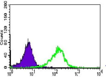 Anti-WDR66 antibody [2A6F7] used in Flow cytometry (FCM). GTX60768