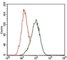 Anti-KLF1 antibody [1B6A3] used in Flow cytometry (FCM). GTX60769