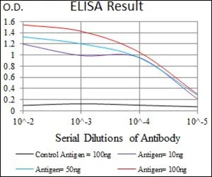 Anti-TUBB2A antibody [6A10B2] used in ELISA (ELISA). GTX60773