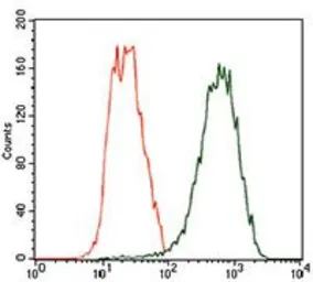 Anti-TUBB2A antibody [6A10B2] used in Flow cytometry (FCM). GTX60773