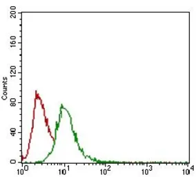 Anti-GSC antibody [4C5D5] used in Flow cytometry (FCM). GTX60774