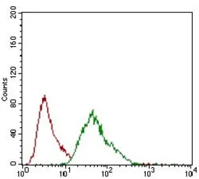 Anti-CD146 antibody [6C3E6] used in Flow cytometry (FCM). GTX60775