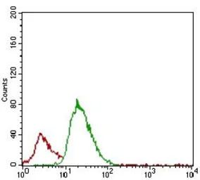 Anti-TRAP antibody [5C5E7] used in Flow cytometry (FCM). GTX60778