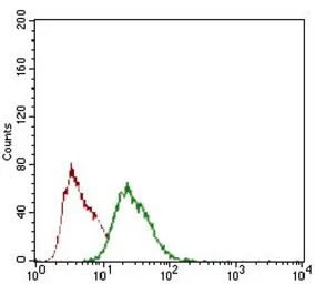 Anti-Rex1 antibody [5E11E7] used in Flow cytometry (FCM). GTX60780