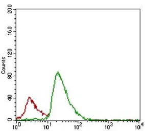 Anti-FLIP antibody [7A3D12] used in Flow cytometry (FCM). GTX60781