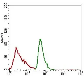 Anti-CD166 antibody [8E12C7] used in Flow cytometry (FCM). GTX60782