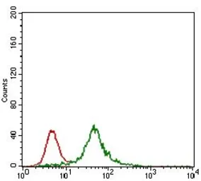 Anti-Rex1 antibody [5E11A6] used in Flow cytometry (FCM). GTX60783