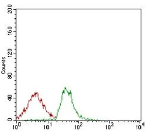 Anti-CD166 antibody [4H9A5] used in Flow cytometry (FCM). GTX60798