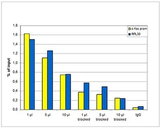 Anti-Histone H3S10ph (phospho Ser10) antibody - ChIP grade used in ChIP assay (ChIP assay). GTX60827