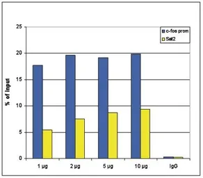 Anti-Histone H4K8ac (acetyl Lys8) antibody - ChIP grade used in ChIP assay (ChIP assay). GTX60829