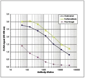 Anti-Histone H4K8ac (acetyl Lys8) antibody - ChIP grade used in ELISA (ELISA). GTX60829