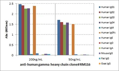 Rabbit Anti-Human IgG (Fc) antibody [RM116]. GTX60861