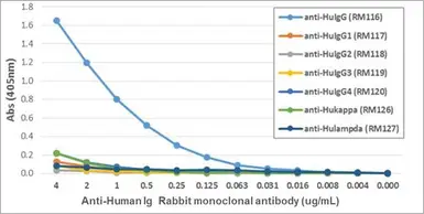 Rabbit Anti-Human IgG (Fc) antibody [RM116]. GTX60861