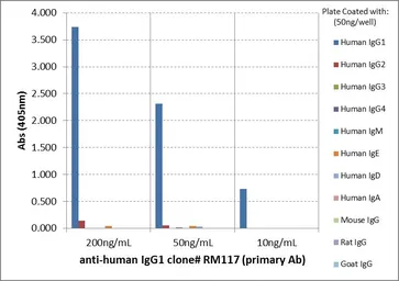 Rabbit Anti-Human IgG1 antibody [RM117]. GTX60862