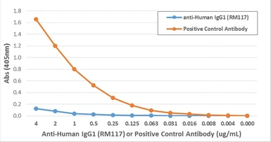 Rabbit Anti-Human IgG1 antibody [RM117]. GTX60862