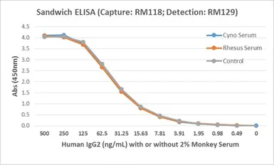 Rabbit Anti-Human IgG2 antibody [RM118]. GTX60863