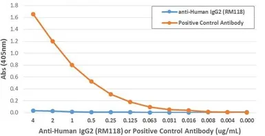 Rabbit Anti-Human IgG2 antibody [RM118]. GTX60863