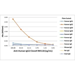 Rabbit Anti-Human IgG2 antibody [RM118]. GTX60863