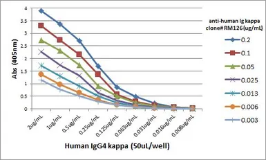 Rabbit Anti-Human kappa light chain antibody [RM126]. GTX60871