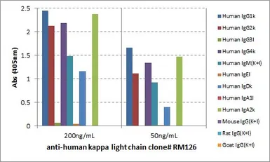 Rabbit Anti-Human kappa light chain antibody [RM126]. GTX60871
