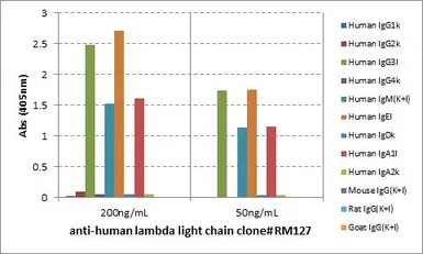 Rabbit Anti-Human lambda light chain antibody [RM127]. GTX60872