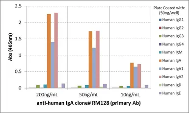 Rabbit Anti-Human IgA antibody [RM128]. GTX60873