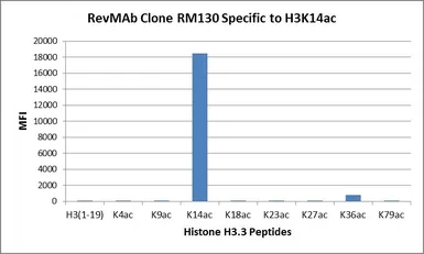 Anti-Histone H3K14ac (Acetyl Lys14) antibody [RM130] used in  (). GTX60874