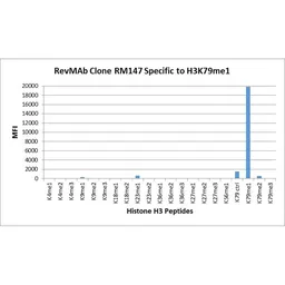 Anti-Histone H3K79me1 (Mono-methyl Lys79) antibody [RM147] used in  (). GTX60880