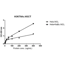 Anti-Histone H3 antibody [RM188] used in ELISA (ELISA). GTX60888