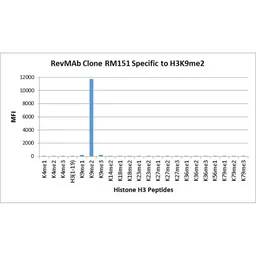 Anti-Histone H3K9me2 (Di-methyl Lys9) antibody [RM151] used in  (). GTX60890