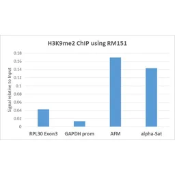 Anti-Histone H3K9me2 (Di-methyl Lys9) antibody [RM151] used in ChIP assay (ChIP assay). GTX60890