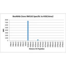 Anti-Histone H3K14me2 (Di-methyl Lys14) antibody [RM165] used in  (). GTX60891