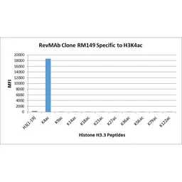 Anti-Histone H3K4ac (Acetyl Lys4) antibody [RM149] used in  (). GTX60893