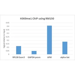 Anti-Histone H3K9me1 (Mono-methyl Lys9) antibody [RM150] used in ChIP assay (ChIP assay). GTX60894