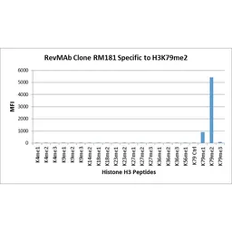 Anti-Histone H3K79me2 (Di-methyl Lys79) antibody [RM181] used in  (). GTX60895