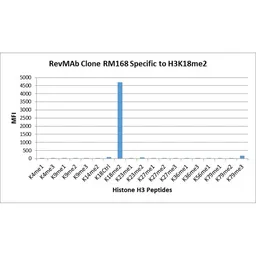 Anti-Histone H3K18me2 (Di-methyl Lys18) antibody [RM168] used in  (). GTX60899