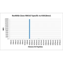 Anti-Histone H3K18me1 (Mono-methyl Lys18) antibody [RM167] used in  (). GTX60900