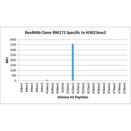 Anti-Histone H3K23me2 (Di-methyl Lys23) antibody [RM171] used in  (). GTX60901