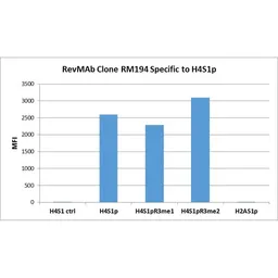 Anti-Histone H4S1ph (phospho Ser1) antibody [RM194] used in  (). GTX60903