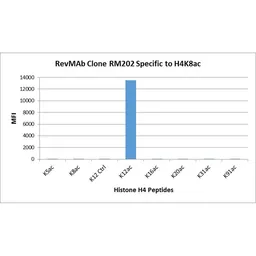 Anti-Histone H4K12ac (Acetyl Lys12) antibody [RM202] used in  (). GTX60912