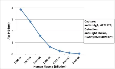 Rabbit Anti-Human Ig light chain antibody [RM129] (Biotin). GTX60920