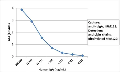 Rabbit Anti-Human Ig light chain antibody [RM129] (Biotin). GTX60920