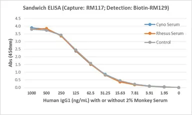 Rabbit Anti-Human Ig light chain antibody [RM129] (Biotin). GTX60920