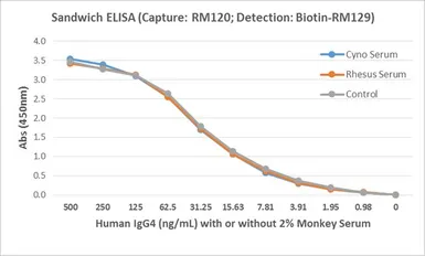 Rabbit Anti-Human Ig light chain antibody [RM129] (Biotin). GTX60920