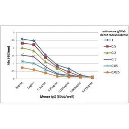 Goat Anti-Mouse IgG (Fab) antibody [RMG05]. GTX60923