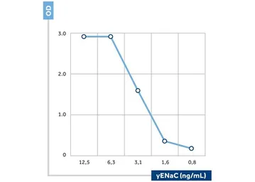 Anti-ENaC Gamma antibody [5c2] (Biotin) used in ELISA (ELISA). GTX60994-02